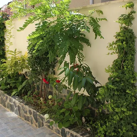 Radik Guest Hotel *